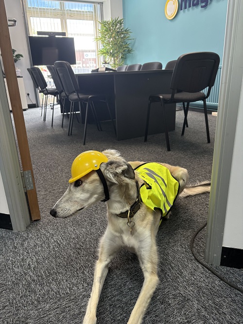 Dash overseeing work in the Magrathea office