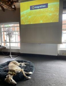 Dash 'overseeing' the offsite meeting