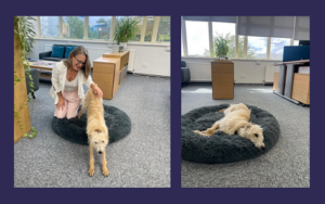 Ludo stretching while Tracey strokes - and then napping (Ludo - not Tracey)
