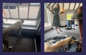 Dash checking outside a window and lying on his bed while Tracey speaks